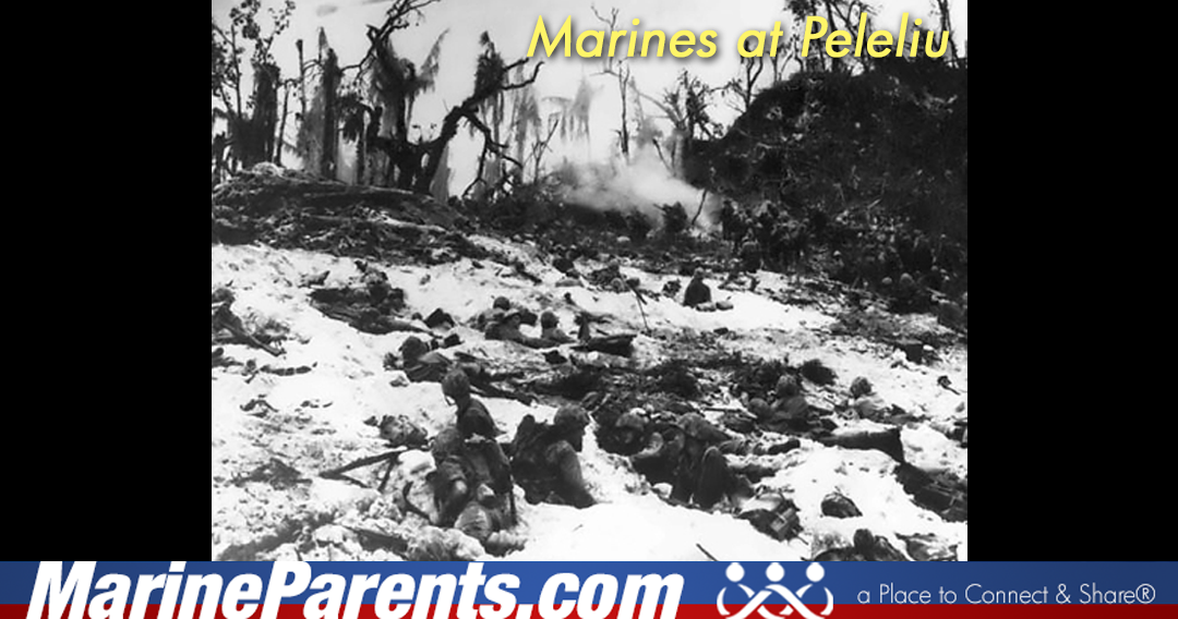 Marines Secure Peleliu